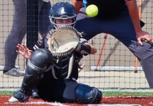 Profile of Morgan Westerfeld